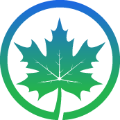 Japanese Maple Trimming