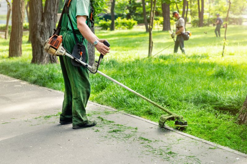 Japanese Maple Trimming